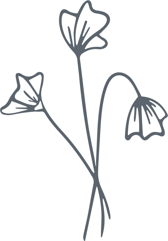Three flower outline