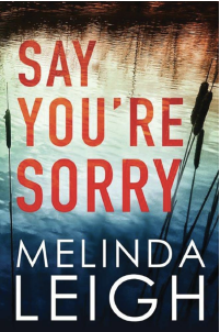 Say Youre Sorry book cover 2